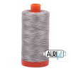 Silver Fox - 4670